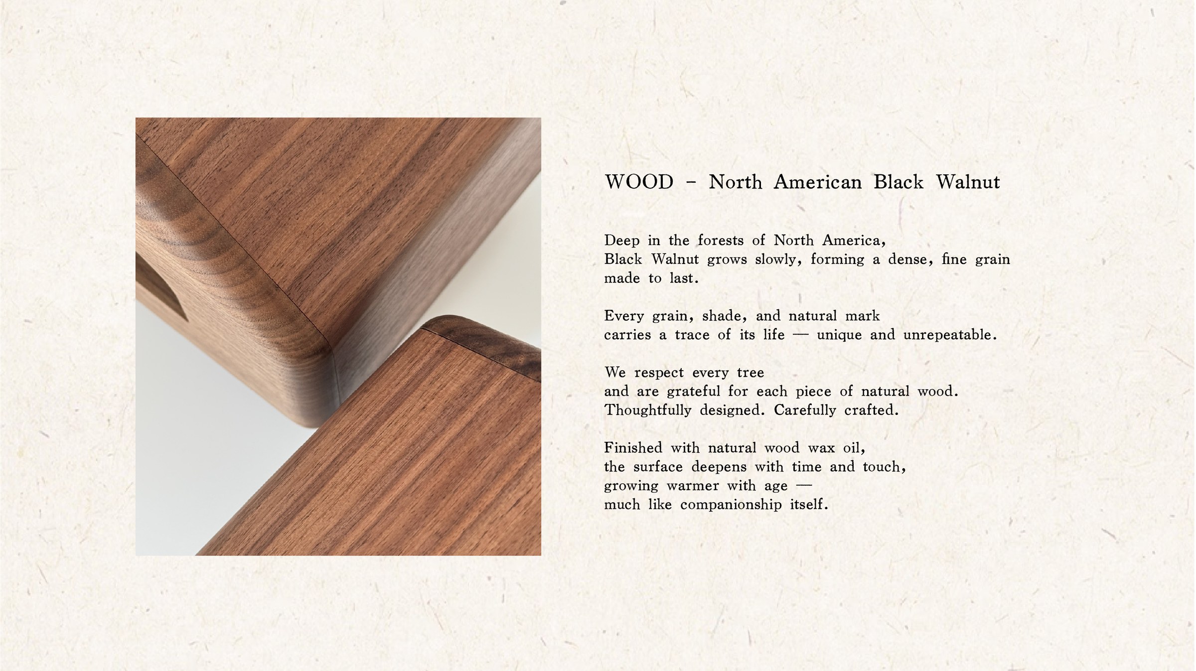 North American Black Walnut