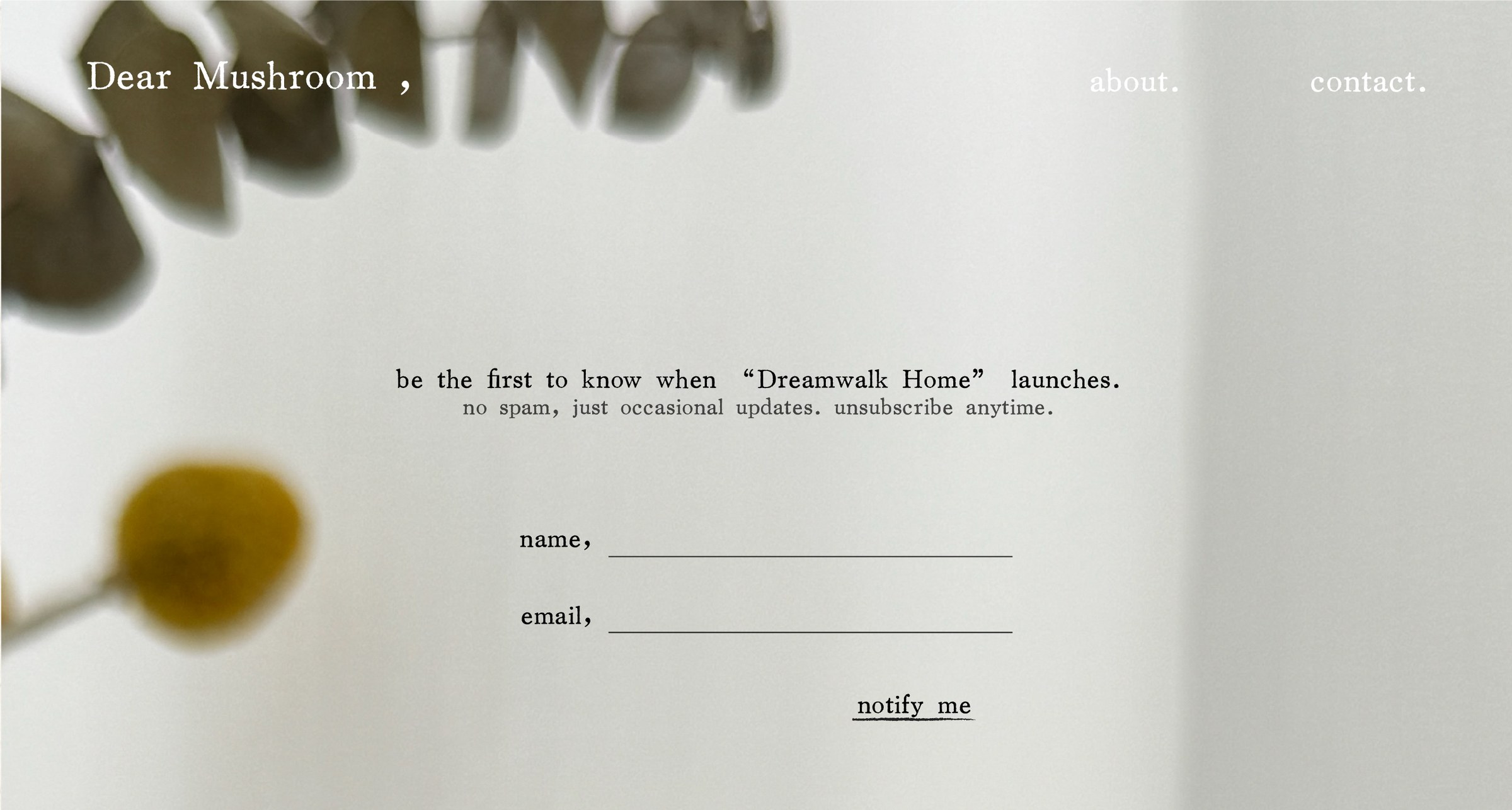 Contact — Dear Mushroom