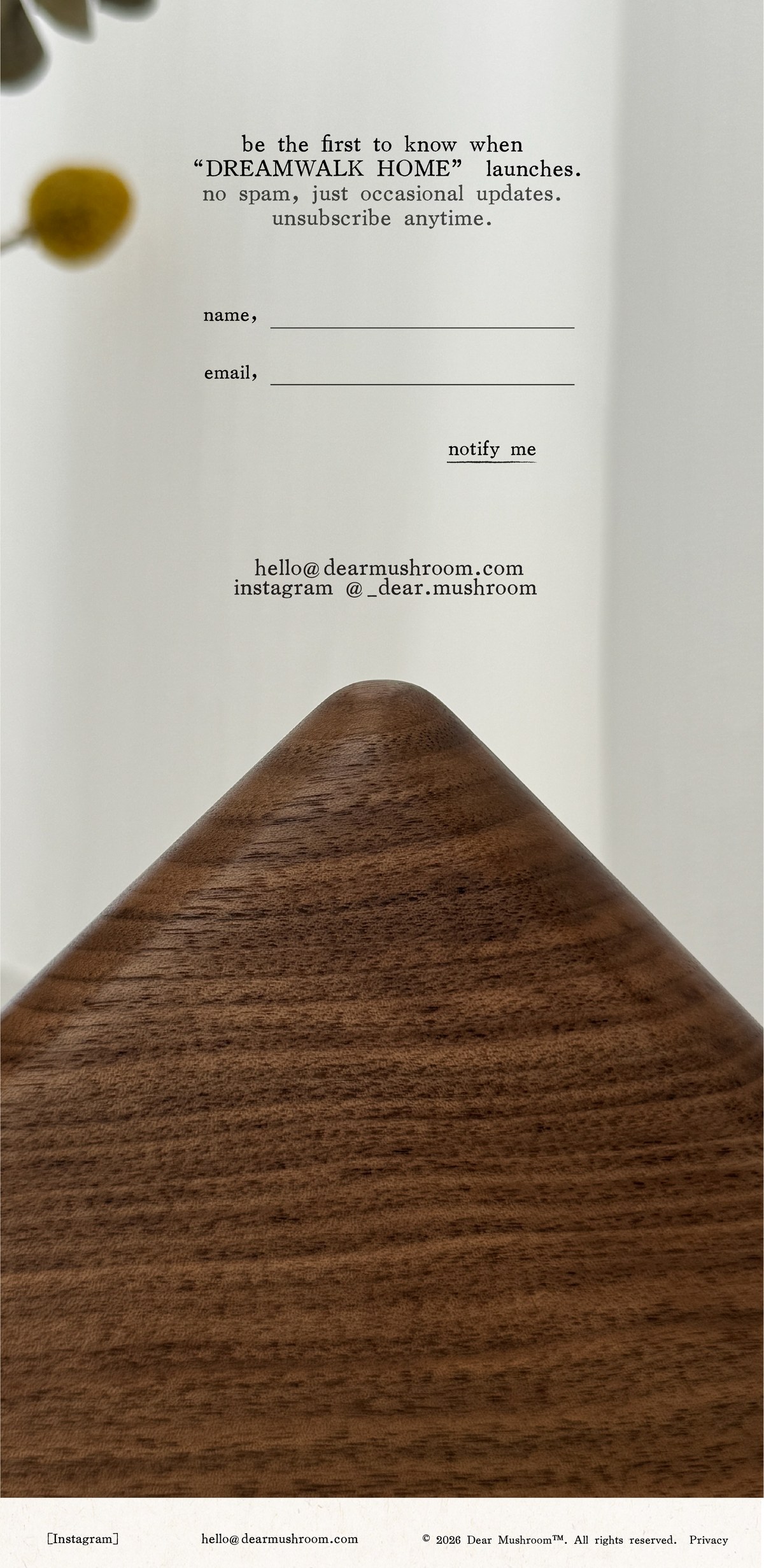 Contact form
